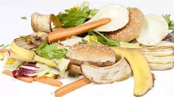 餐廚垃圾處理設備  餐廚垃圾處理設備