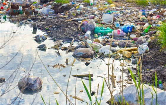 餐廚垃減量設(shè)備 餐廚垃減量設(shè)備