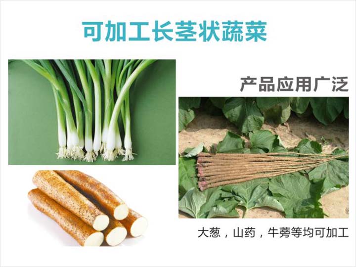 可加工長莖狀蔬菜 可加工長莖狀蔬菜