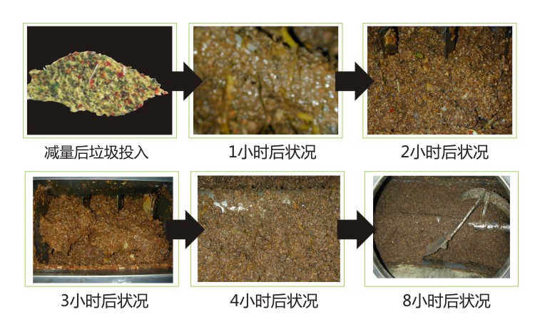 餐廚垃圾處理過程 餐廚垃圾處理過程