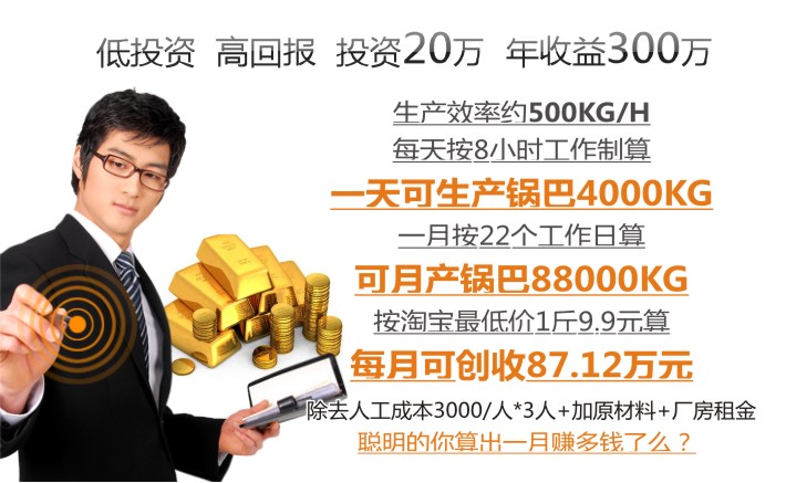 大明鍋巴機(jī) 低投資 高回報 大明鍋巴機(jī) 低投資 高回報